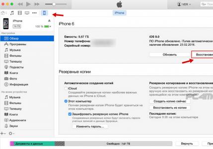 Снятие блокировки с техники Apple: iPhone Если забыл пароль на айфоне 6